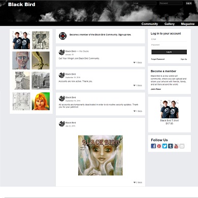 Black Bird Community by Eckstein Web Design & Development
