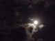 thumbnail of moon in black sky image