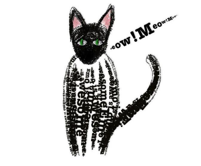 image of typographycat